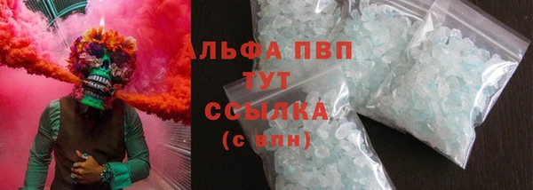 ГАЛЛЮЦИНОГЕННЫЕ ГРИБЫ Костерёво