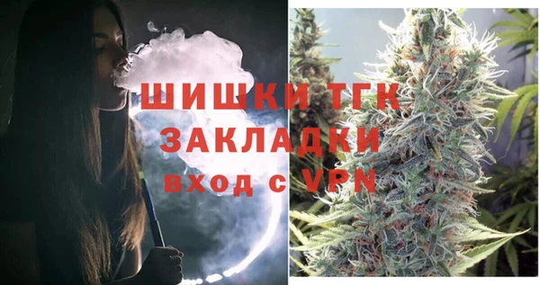 сатива Краснослободск
