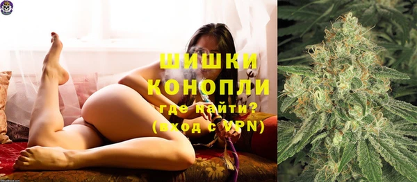 сатива Краснослободск
