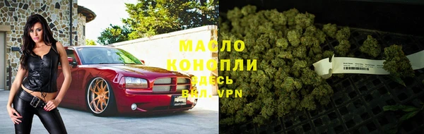 стафф Кодинск