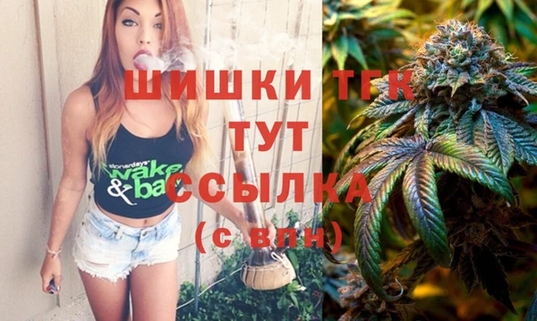 СК Коряжма