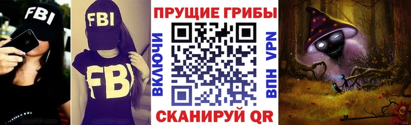 Псилоцибиновые грибы Psilocybe  Кологрив 
